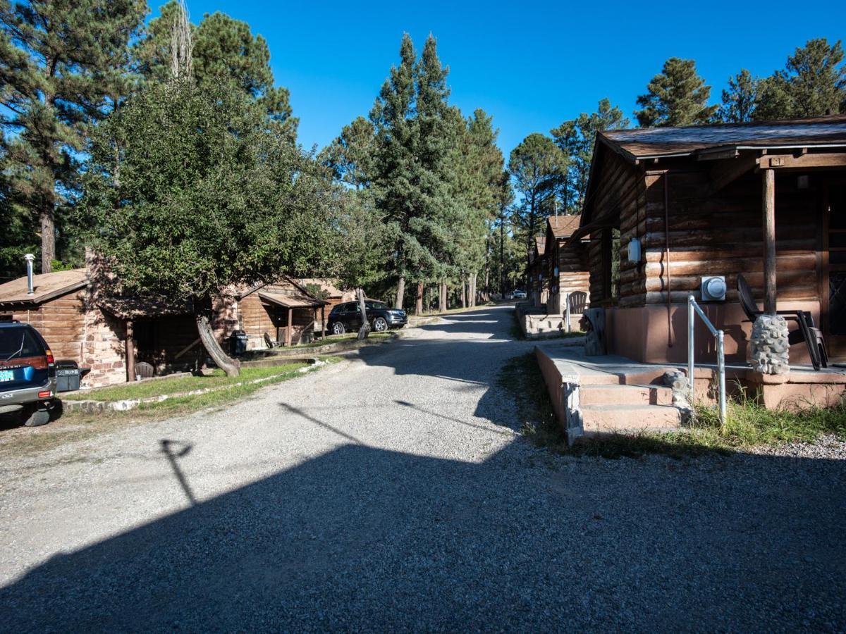 Perfect Cabin, 2 Bedrooms, Fireplace, Midtown, Sleeps 5 鲁伊多索 外观 照片