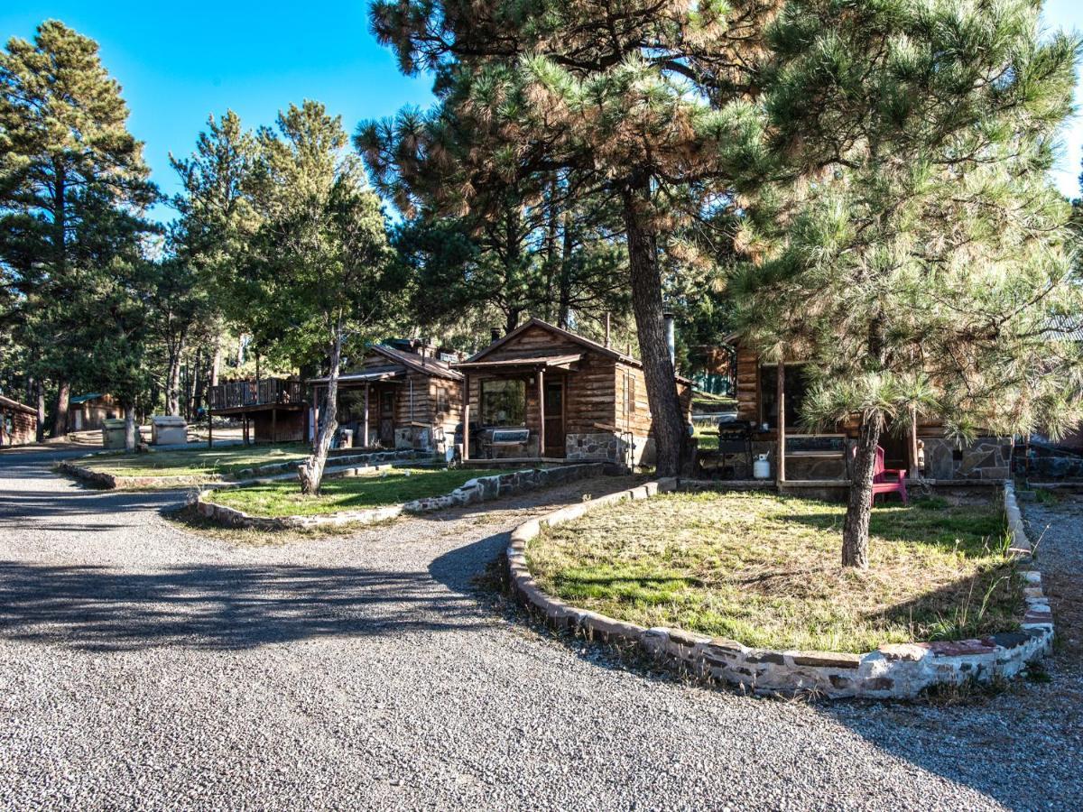 Perfect Cabin, 2 Bedrooms, Fireplace, Midtown, Sleeps 5 鲁伊多索 外观 照片